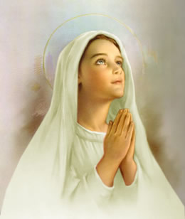 Virgen María, Sin Pecado Concebida